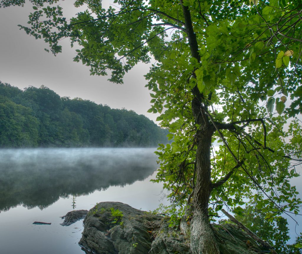 Reservoir1-Tree on rock with overcast sky and water with mist